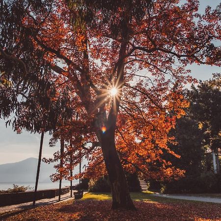 Hotel Villa Emden Brissago Zewnętrze zdjęcie