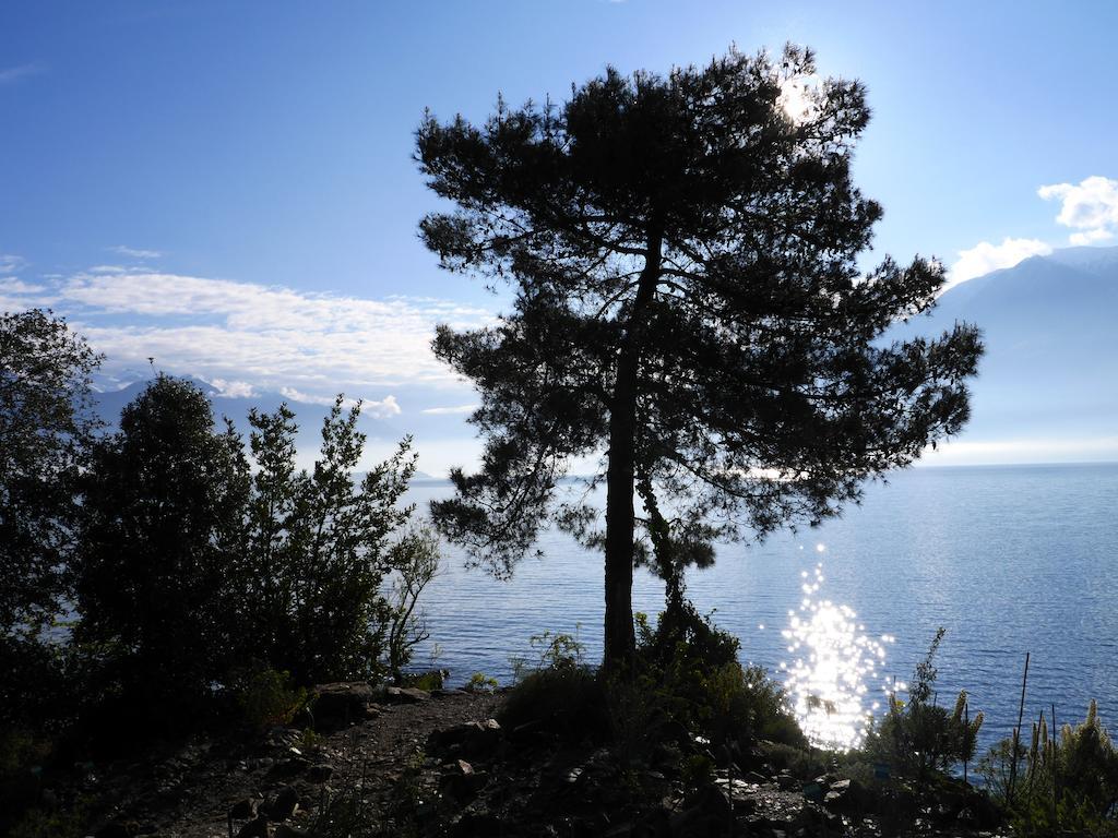 Hotel Villa Emden Brissago Zewnętrze zdjęcie
